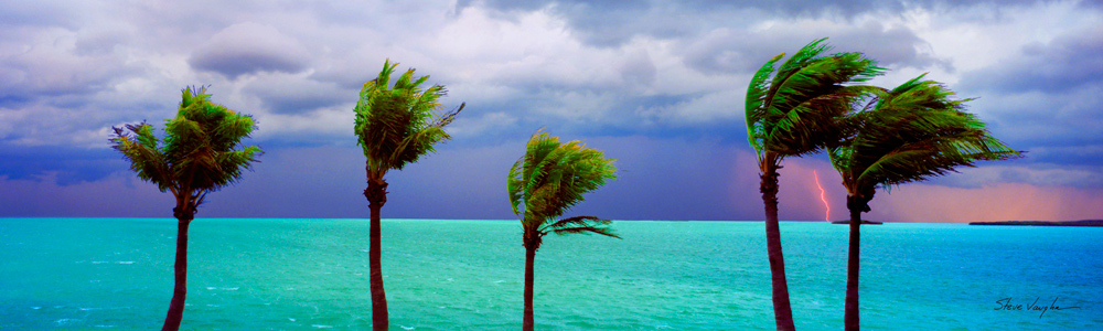 Heavy Weather in the Florida Keys by Steve Vaughn