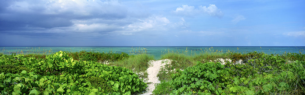 452 Beach Path by Steve Vaughn