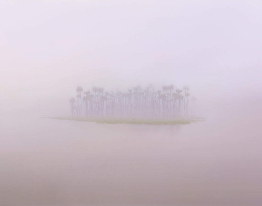 S101 Florida Fog by Steve Vaughn
