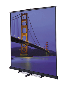 Carpeted Floor Model C Tripod Screen screen