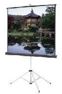 Picture King Tripod Screen