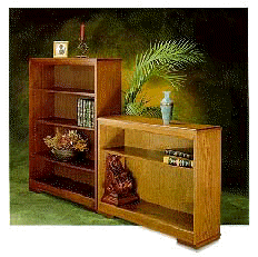 Hale Manufacturing 4800 Series Traditional Bookcases