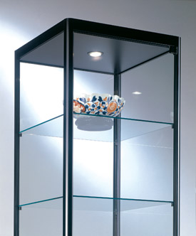 Magnuson Group Group Pictor Display Cases