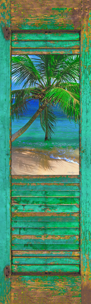 023a Shutter & Palm 1 by Steve Vaughn