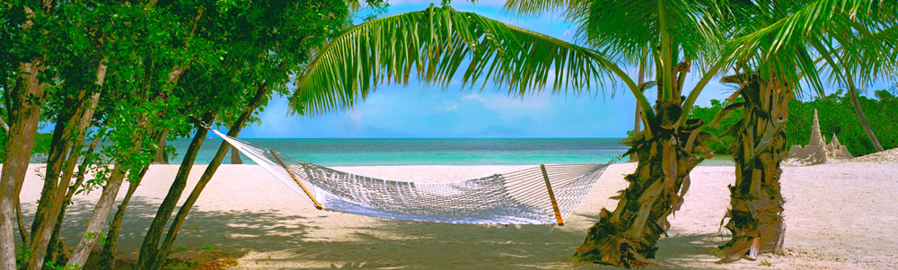 082 Sandcastle Hammock by Steve Vaughn