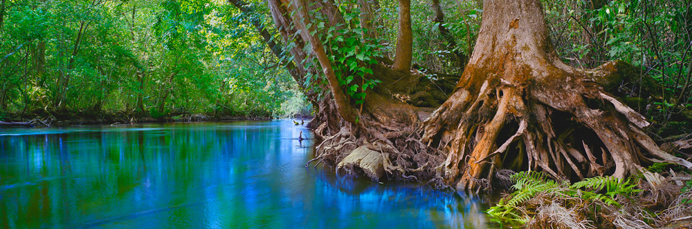 097 Along the Withlacoochee by Steve Vaughn