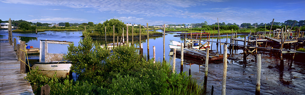 115 Cedar Key, Series 2 by Steve Vaughn