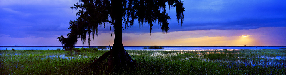146 Florida Cypress Sunset by Steve Vaughn