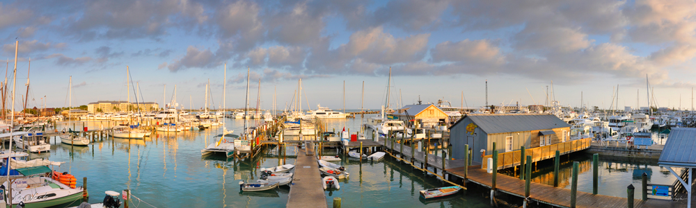 198 Key West Morning by Steve Vaughn