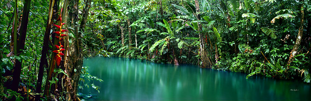 3 Jungle Cruise by Steve Vaughn