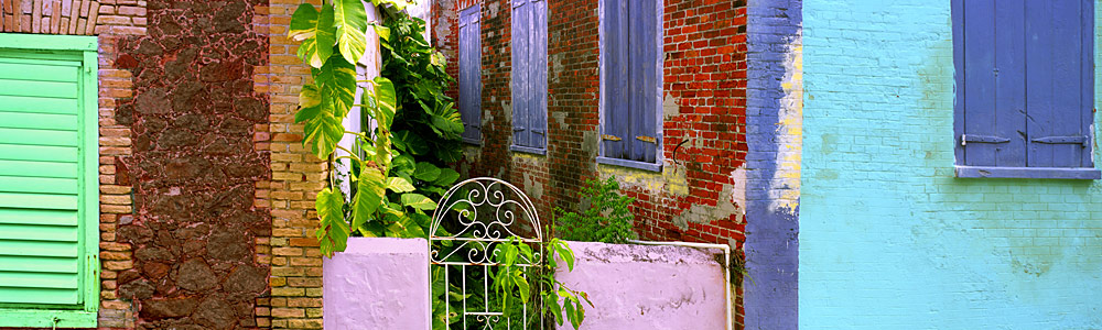 48 Caribbean Color by Steve Vaughn