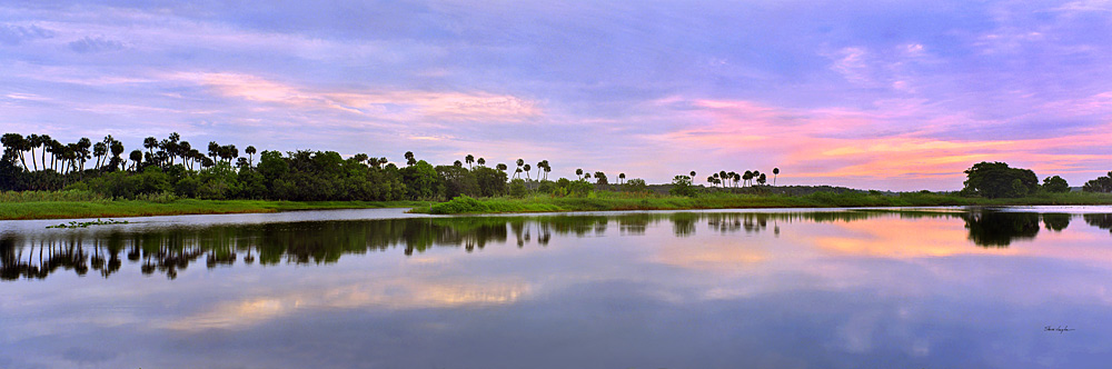 5 Dawn on the St. Johns by Steve Vaughn