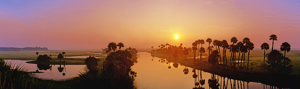 801 Econlockhatchee River From the Top of a Big Cypree Tree One Fine Morning by Steve Vaughn