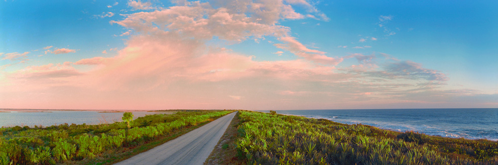 832 Canaveral Seashore by Steve Vaughn