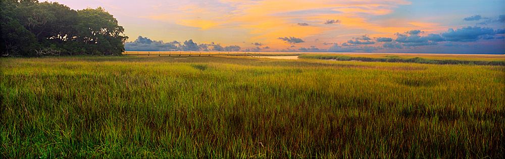 915 Amelia Island Overlook by Steve Vaughn