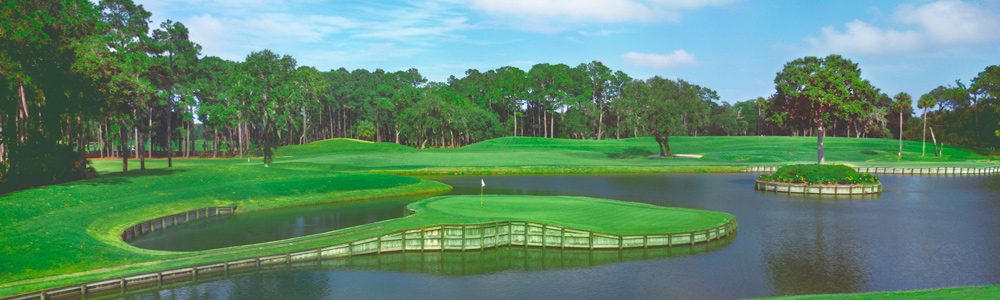 926 Number 17 at TPC/Sawgrass by Steve Vaughn