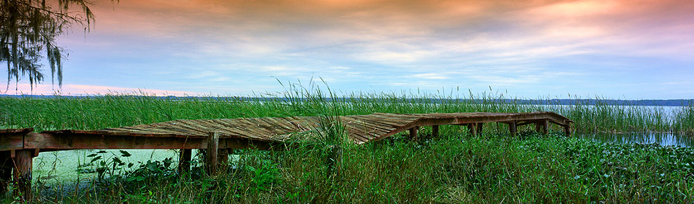 952 Old Dock on the River by Steve Vaughn