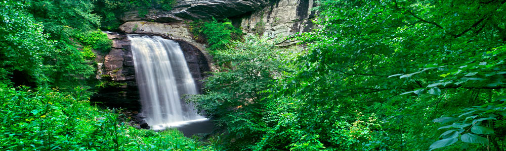 982 Looking Glass Falls, North Carolina by Steve Vaughn