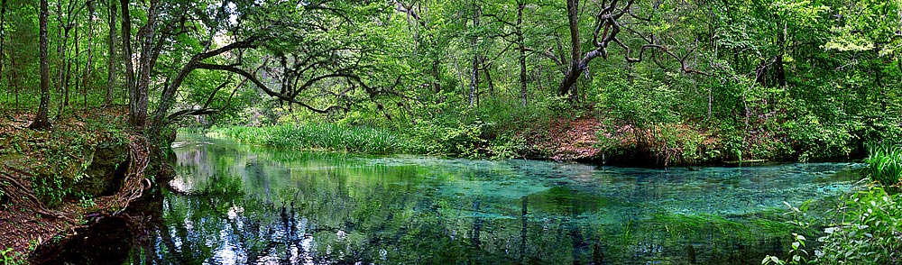 991 Ichetuchee River, FL by Steve Vaughn