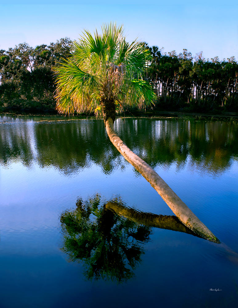 S110 Mirror by Steve Vaughn