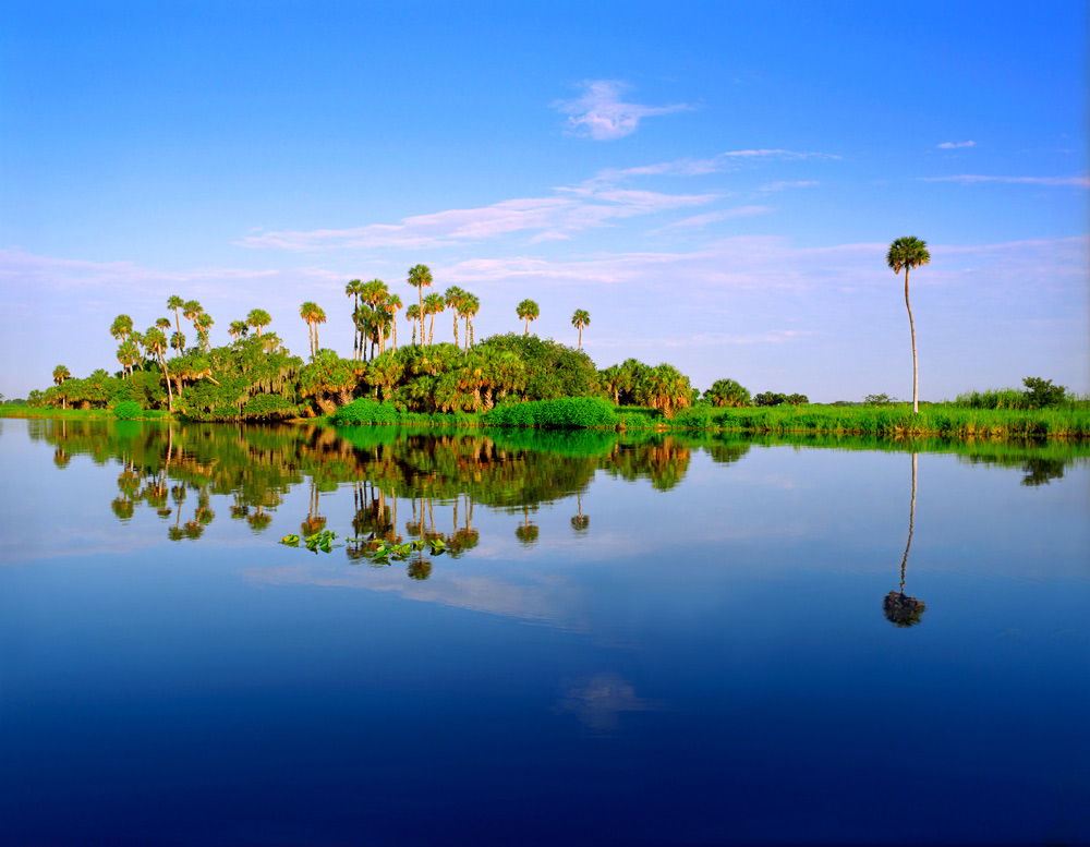 s111 Quiet River by Steve Vaughn