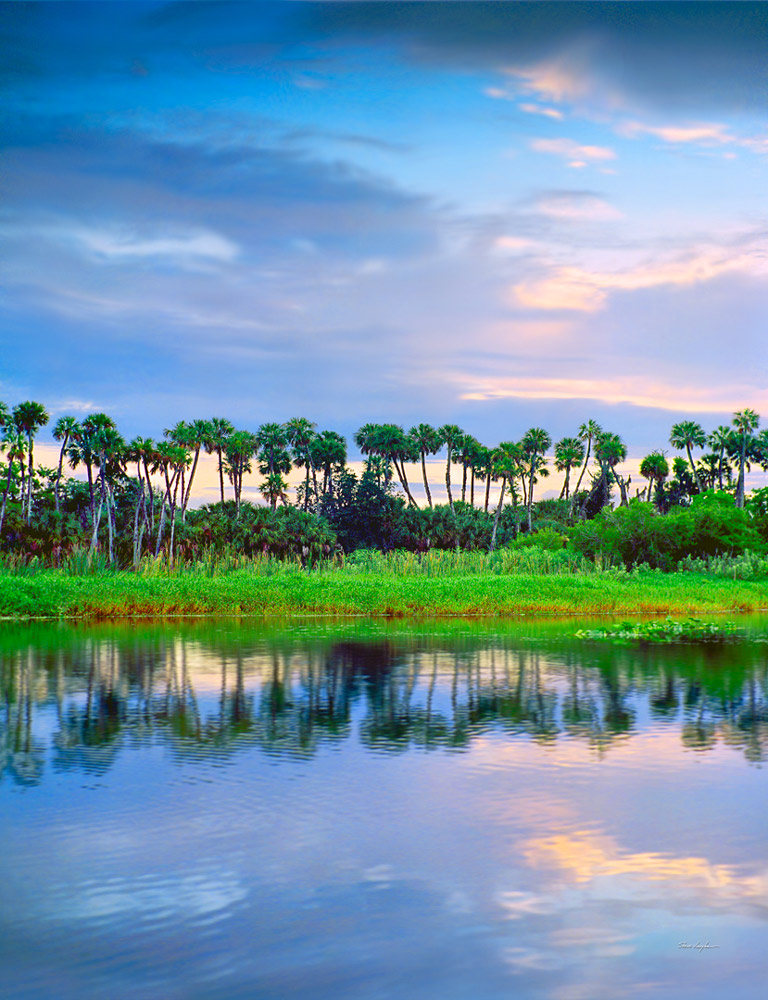 s132 St. John's River 2 by Steve Vaughn