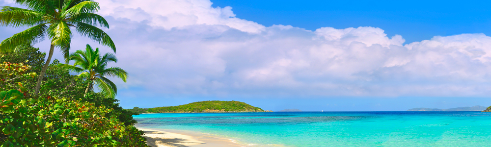 s507A Hawksnest Bay, St. John 1 by Steve Vaughn